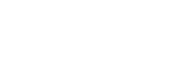 propema-logo-white